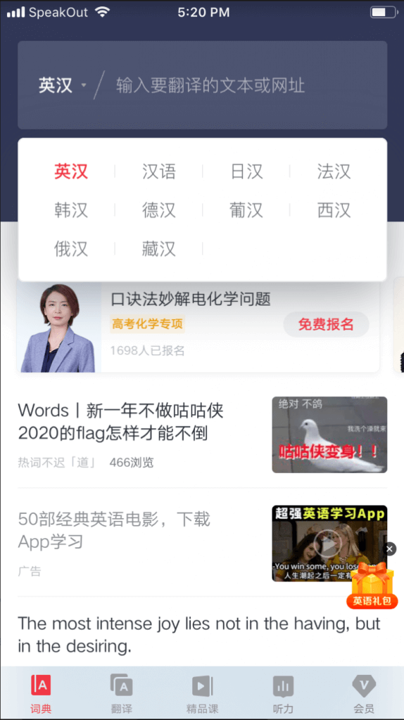 youdao dictionary