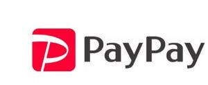 pay pay logo